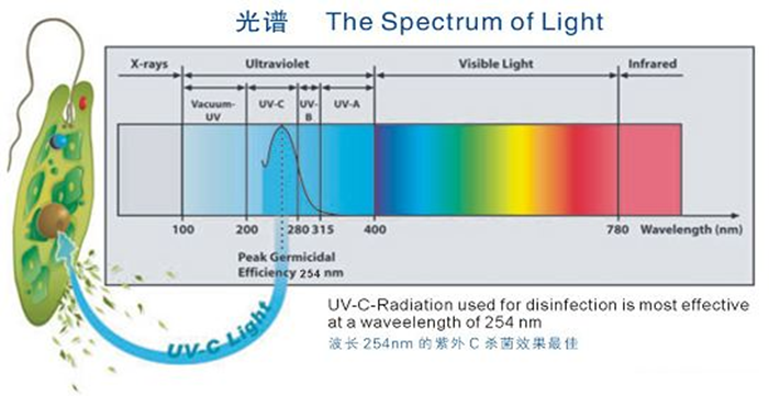 科普！紫外線殺菌燈對人體影響及正確使用方法